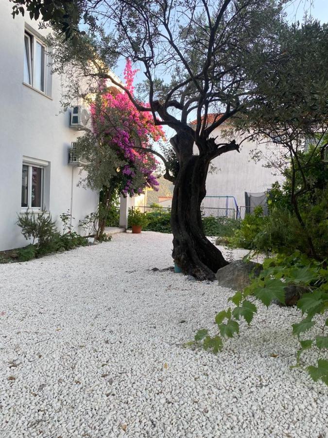 Olive Garden Appartement Poljica (Trogir)